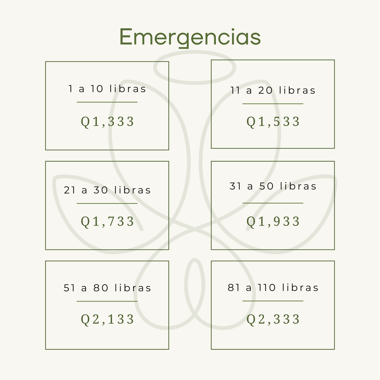 Servicio de Emergencia