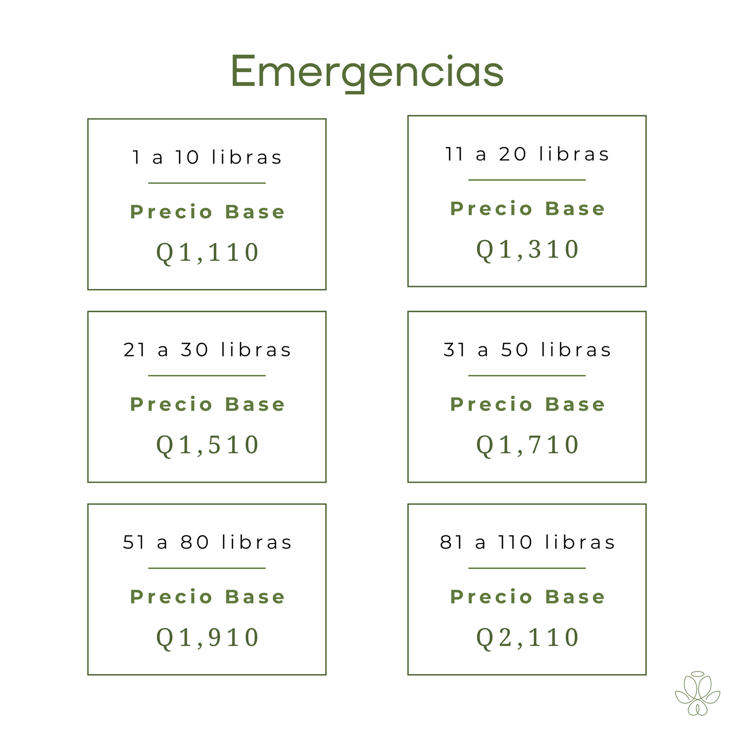 Servicio de Emergencia