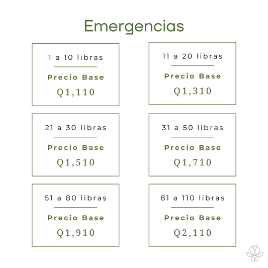 Servicio de Emergencia