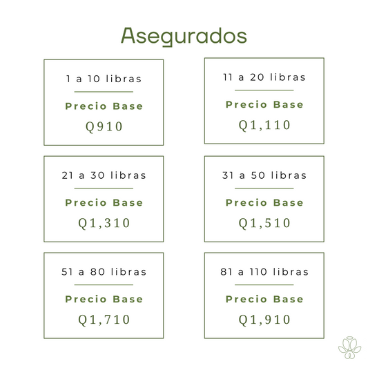 Servicio de Asegurado