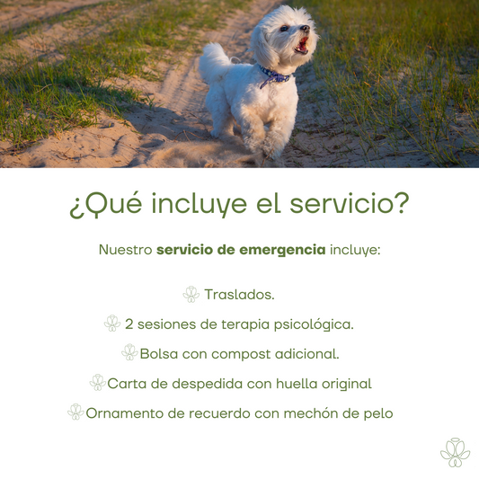 Servicio de Emergencia