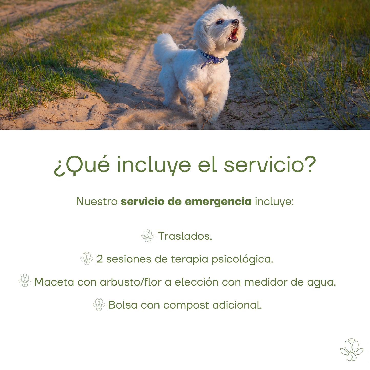 Servicio de Emergencia