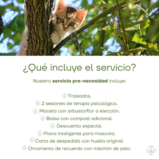 Servicio Pre-necesidad